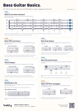 The Bass Guitar Basics poster
