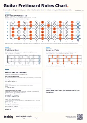 The Guitar Fretboard Notes Chart poster