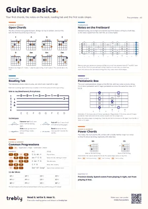 The Guitar Basics poster