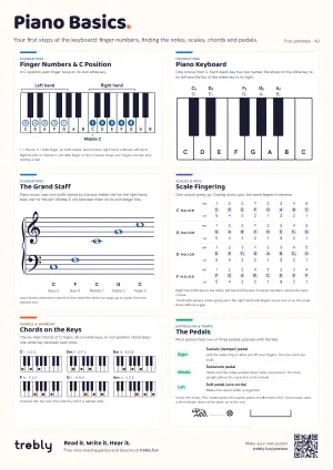 The Piano Basics poster