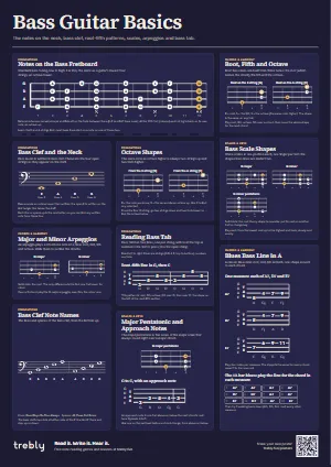The Bass Guitar Basics poster in the Dark style